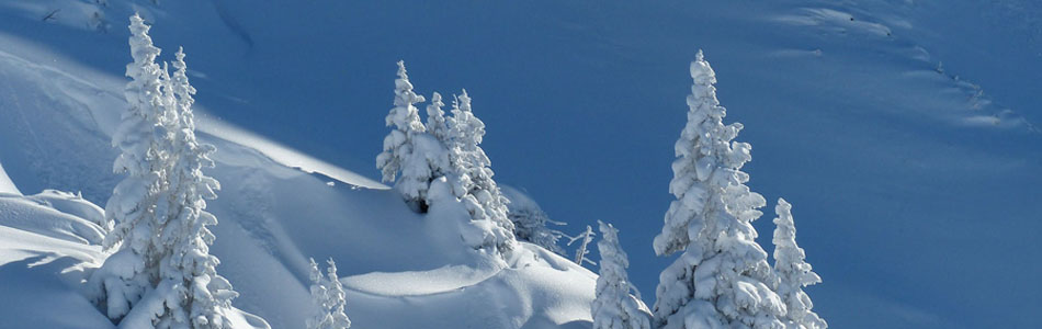 在线电话压力测试