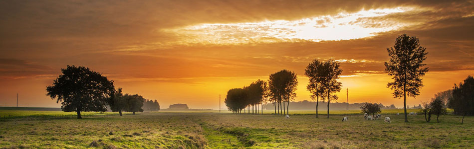 会员代充优惠的云呼死你网页版